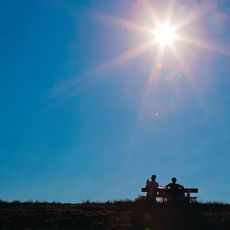 Ferienhaus Gorgeous In With Sauna